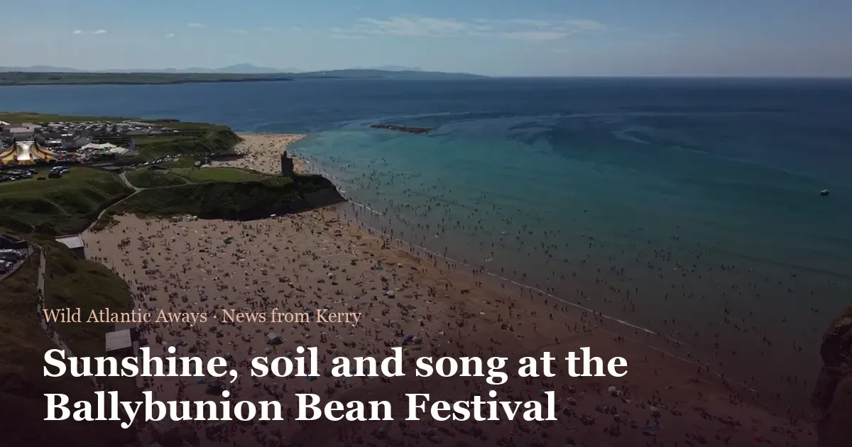 Sunshine, soil and song at the Ballybunion Bean Festival