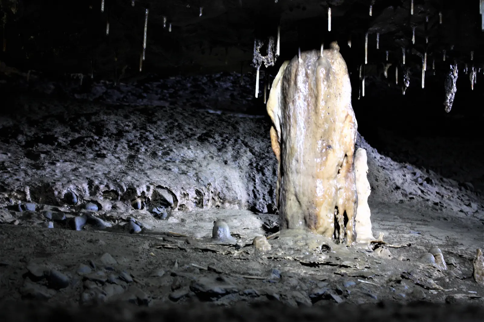 Crag Cave, Co. Kerry
