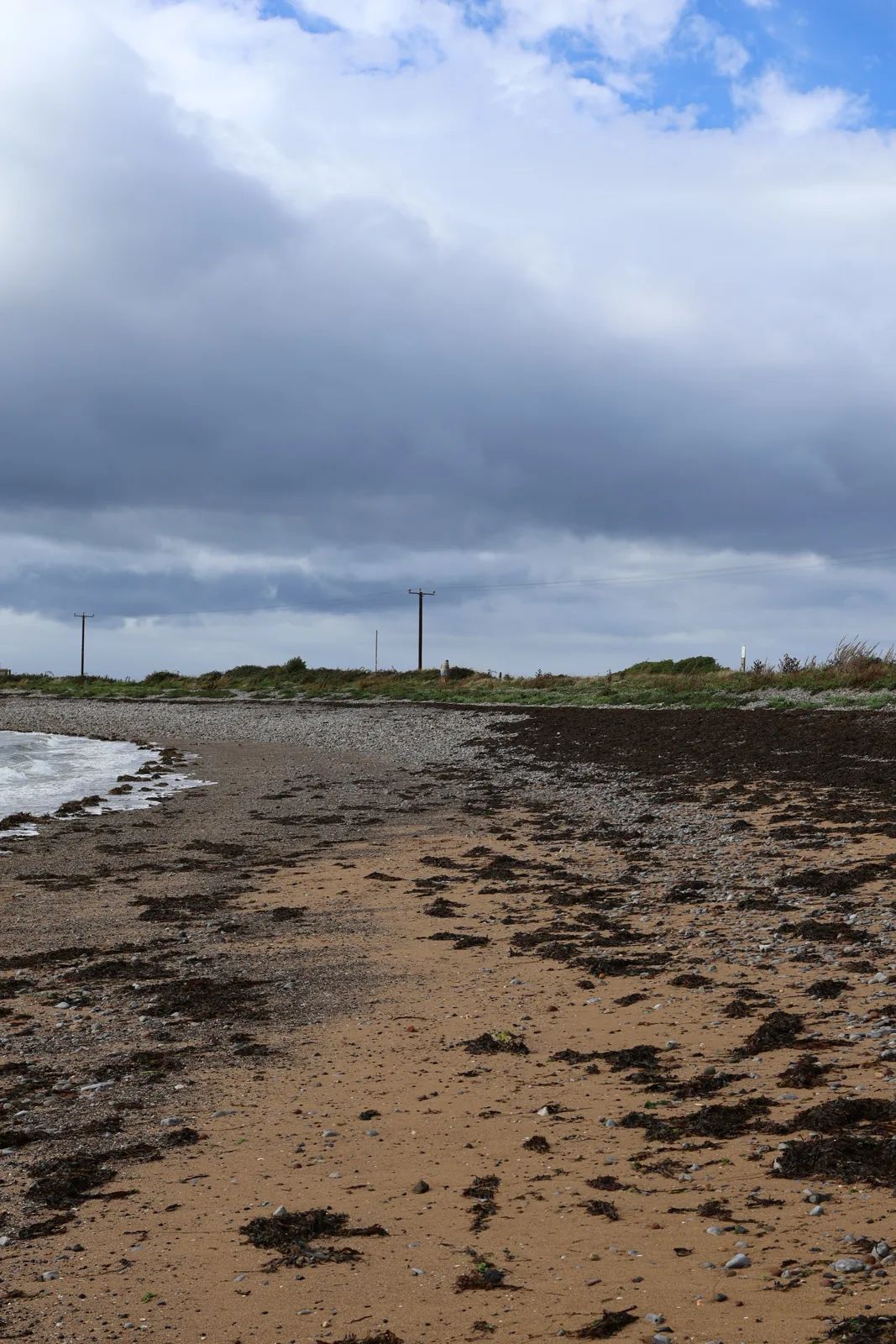 Seaweed and shells on the sand at Fenit beach after a September high tide